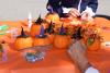 Pumpkin Patch
